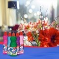 LIMPADOR PERFUMADO VEJA LAVANDA 1L