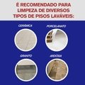 LIMPADOR LIMPEZA PESADA VEJA CAMPESTRE 2L